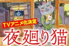 Ночной кот